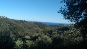 Le casasse, Imperia
